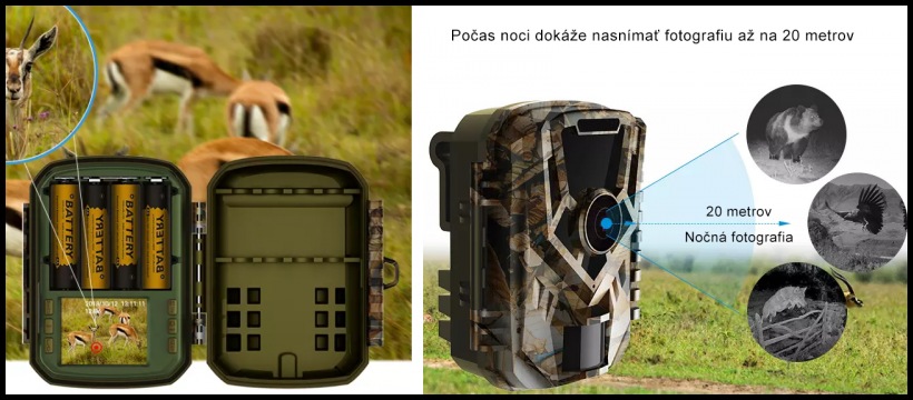 fotopasca wachman-king